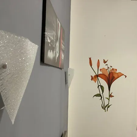 Andeli Due 阿尔盖罗